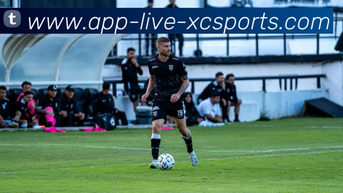 杏彩体育发展历程