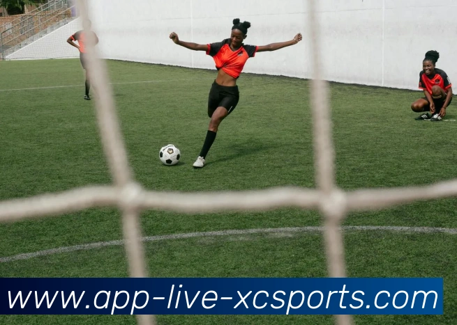 足球营收报表披露标准是否能够满足投资人、球迷与监管方的信息需求